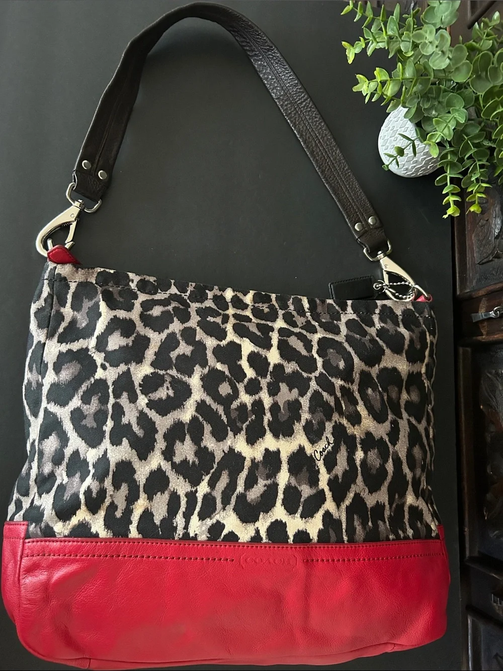 Coach Leopard Print Canvas Shoulder Bag with Red Leather Trim